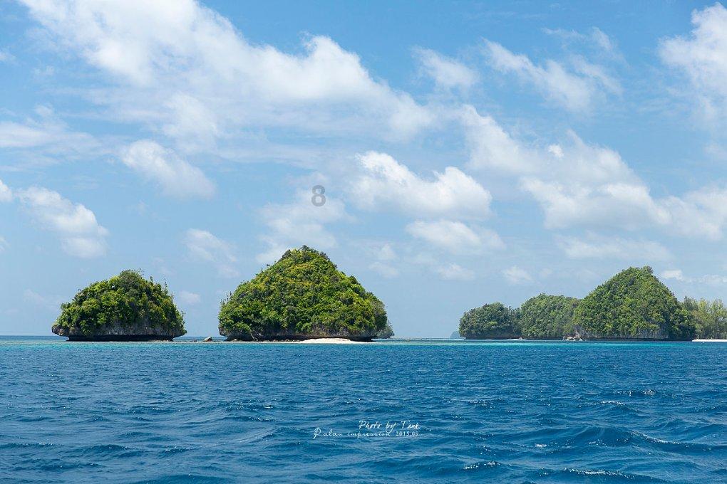 探索mykiteisinthetreetoo改为否定句?