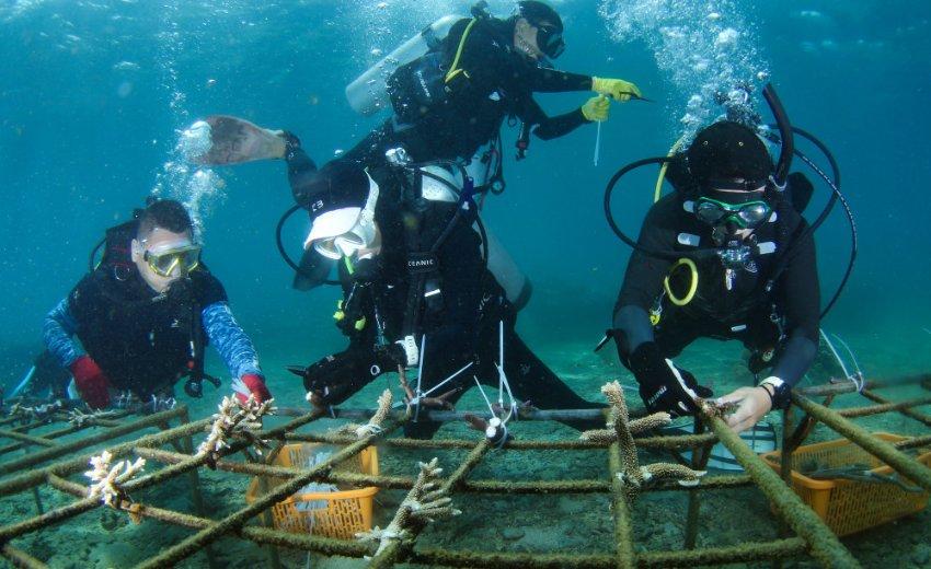 中国公安干警,历经72年,2021年,为何开始采用礼服?
