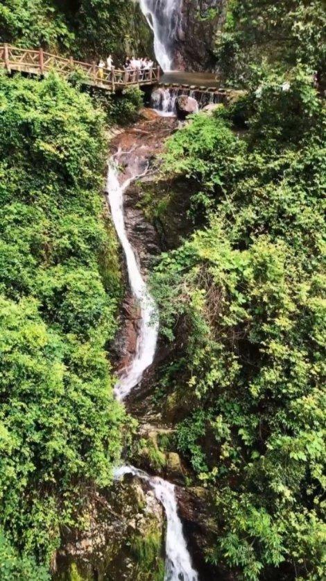 领导力非凡,这3大生肖生来就有领袖气质,你是其中之一吗?