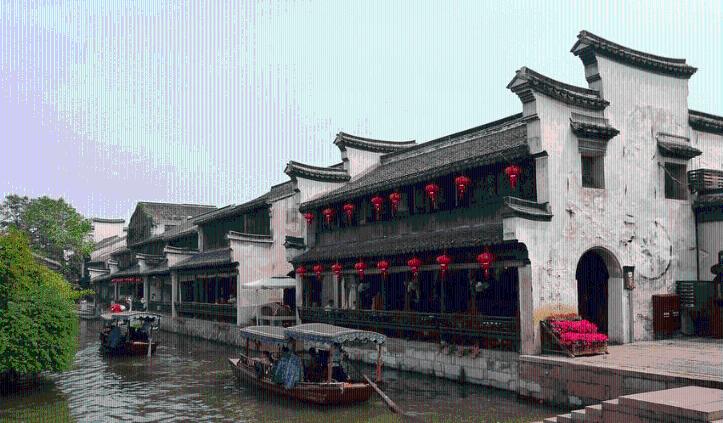 天津女排名将助阵,8000观众到场,排球之城名副其实!