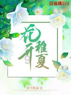 88影视